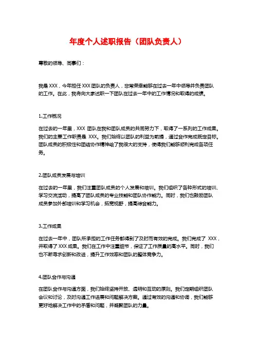 年度个人述职报告(团队负责人)