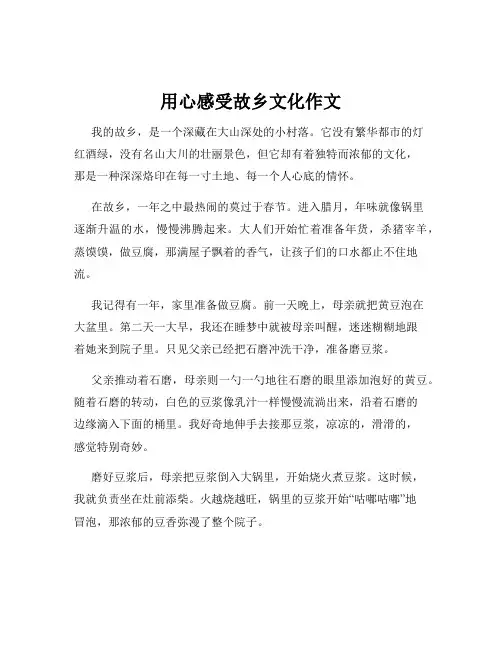 用心感受故乡文化作文