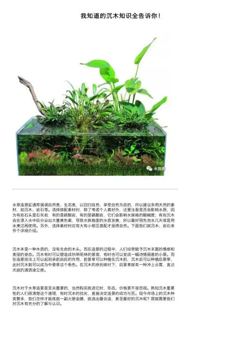 我知道的沉木知识全告诉你！
