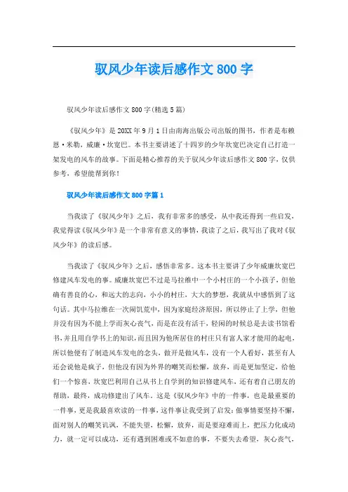 驭风少年读后感作文800字