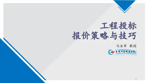 工程投标报价策略与技巧 ppt课件