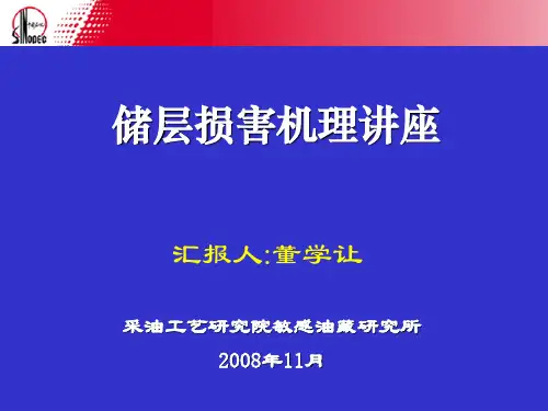 储层损害机理--08.11.25(1)