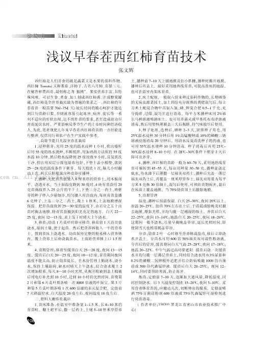 浅议早春茬西红柿育苗技术