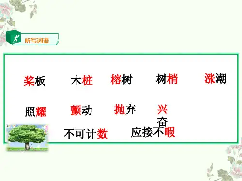 《鸟的天堂》第二课时教案+课件(共23张PPT)