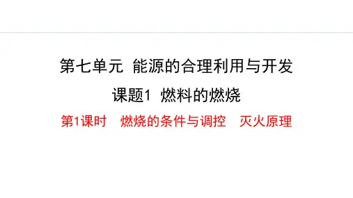 《燃料的燃烧》能源的合理利用与开发PPT课件(第1课时)