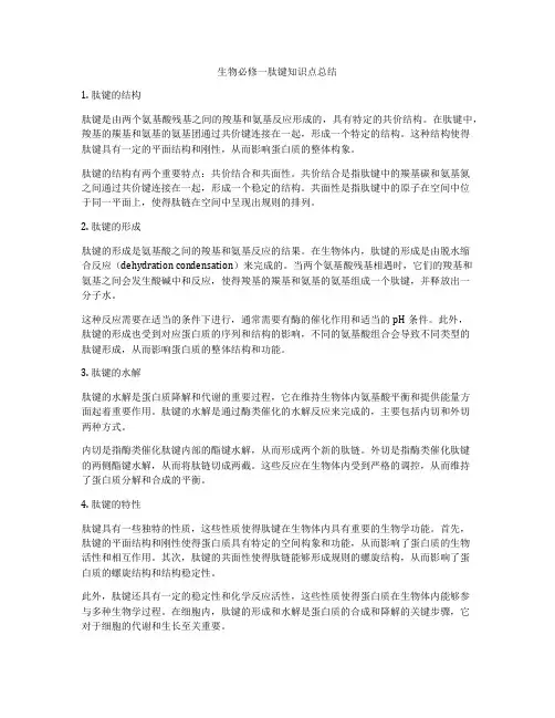 生物必修一肽键知识点总结