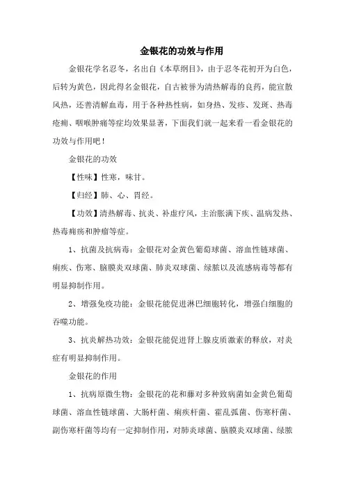 金银花的功效与作用