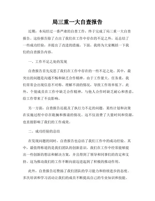 局三重一大自查报告