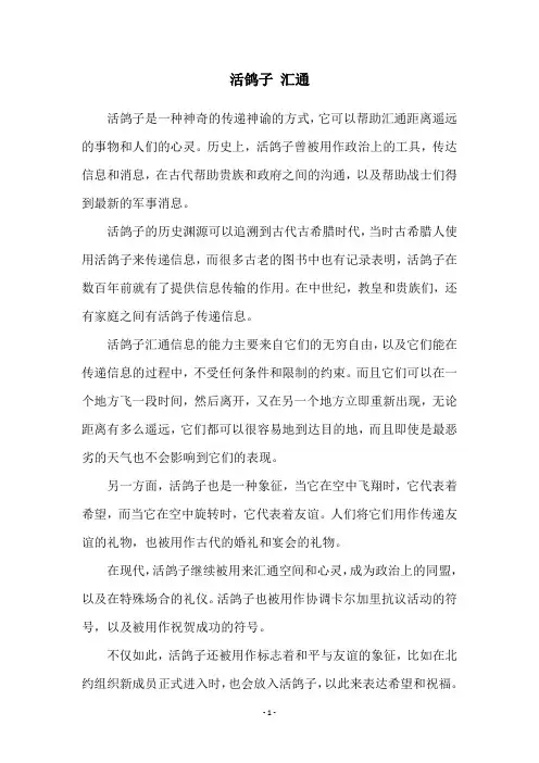 活鸽子 汇通
