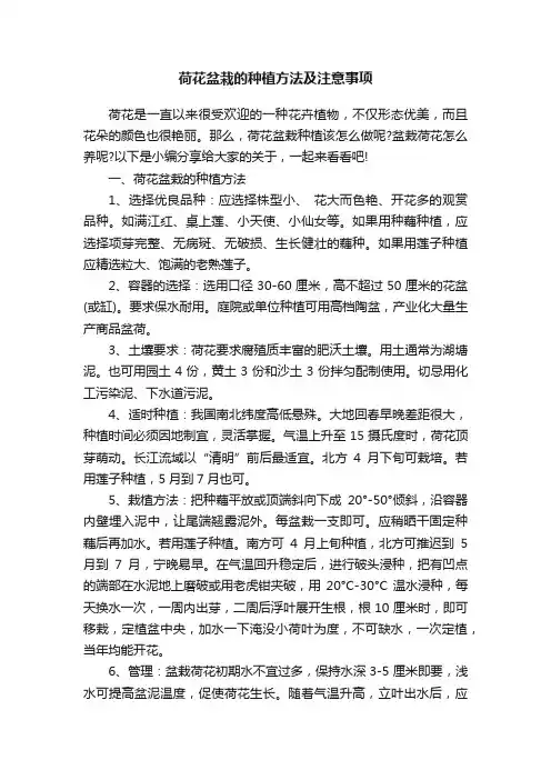 荷花盆栽的种植方法及注意事项