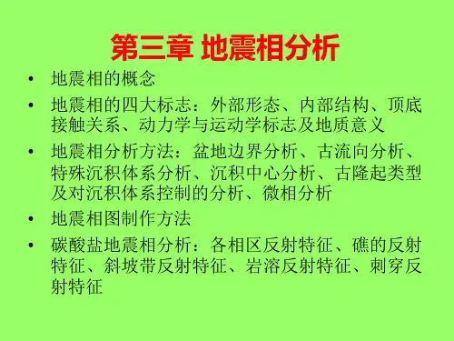 5地震相分析3(地震地层学)