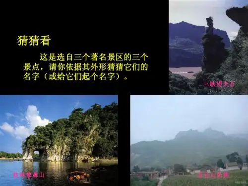 我当导游
