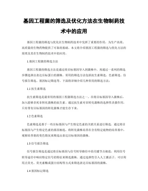 基因工程菌的筛选及优化方法在生物制药技术中的应用