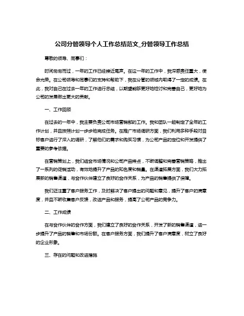 公司分管领导个人工作总结范文_分管领导工作总结
