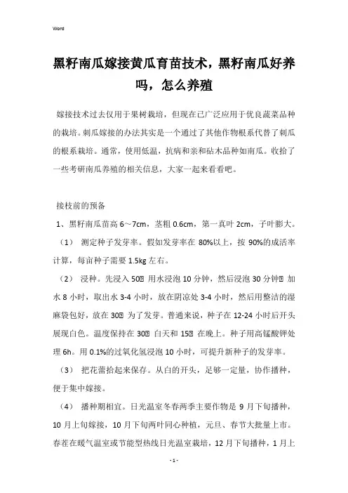 黑籽南瓜嫁接黄瓜育苗技术,黑籽南瓜好养吗,怎么养殖