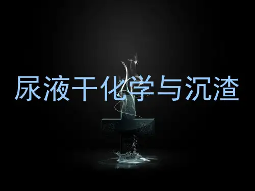 尿液干化学和沉渣