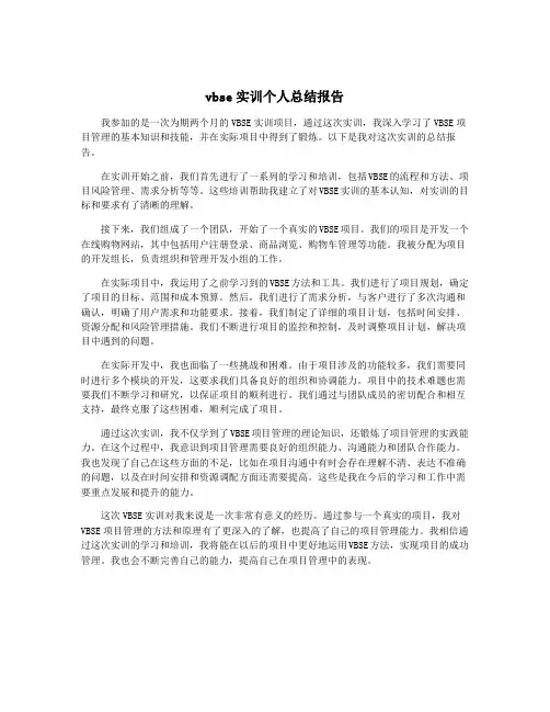 vbse实训个人总结报告
