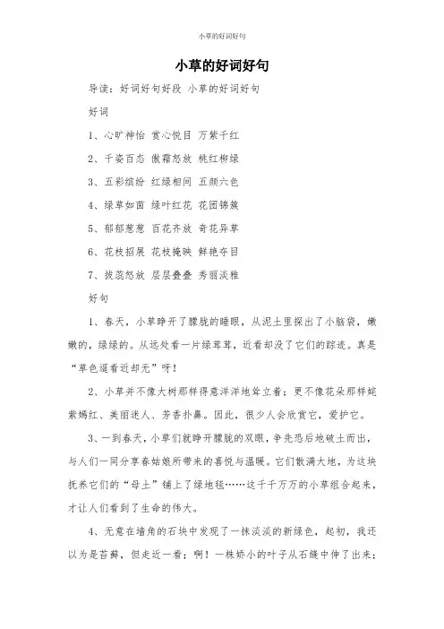 小草的好词好句