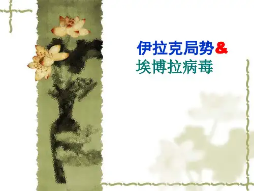 伊拉克局势与埃博拉病毒