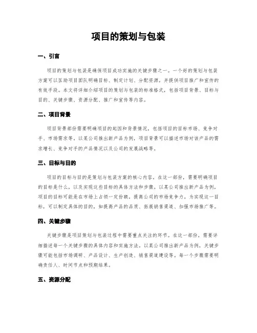 项目的策划与包装