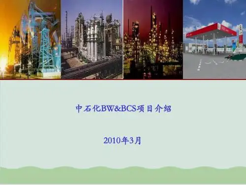 中石化项目介绍 PPT课件( 30页)