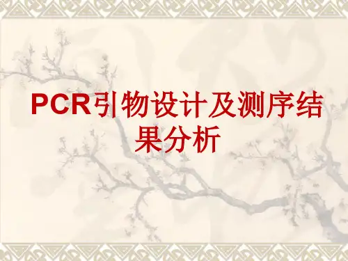 PCR引物设计及测序结果分析