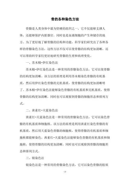 骨的各种染色方法