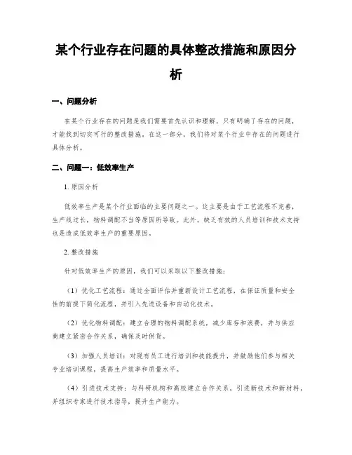 某个行业存在问题的具体整改措施和原因分析