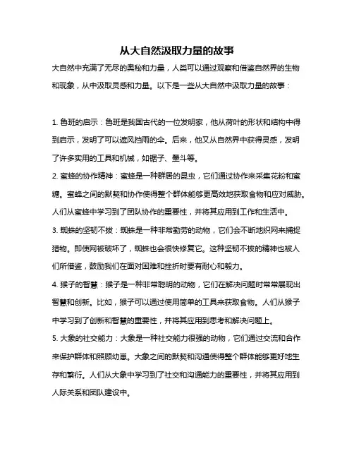 从大自然汲取力量的故事