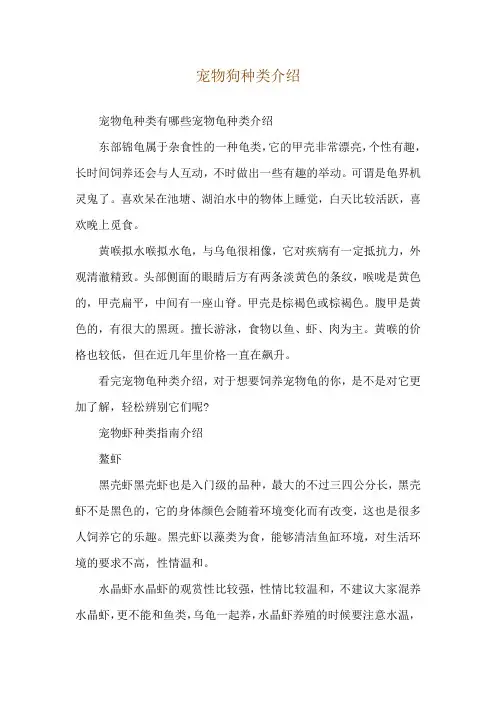 宠物狗种类介绍