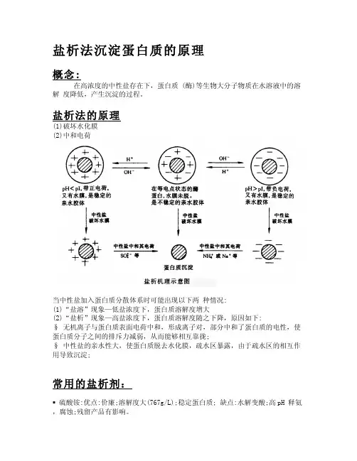 盐析法沉淀蛋白质的原理