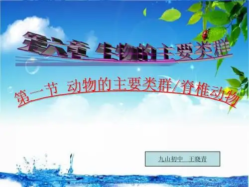 动物的主要类群_脊椎动物的主要类群(王晓青)