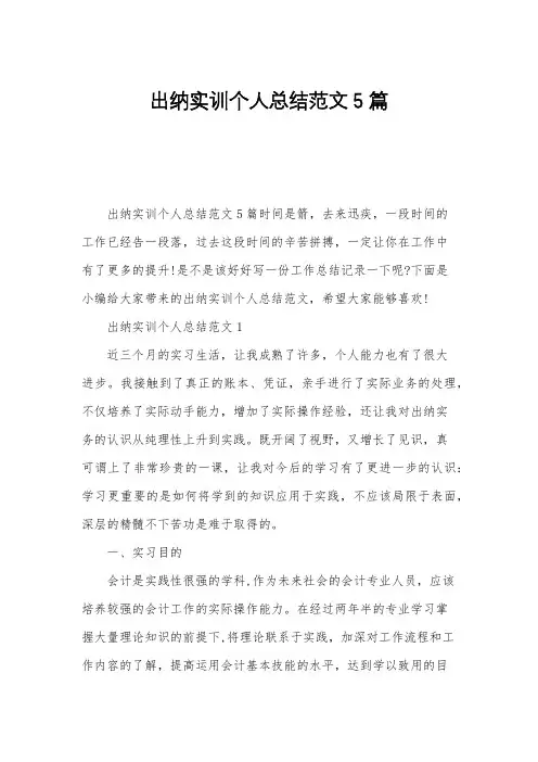出纳实训个人总结范文5篇