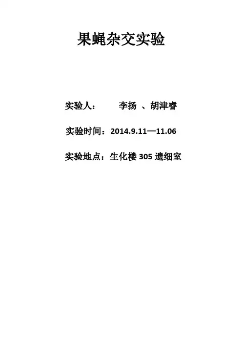 果蝇杂交实验报告标准版