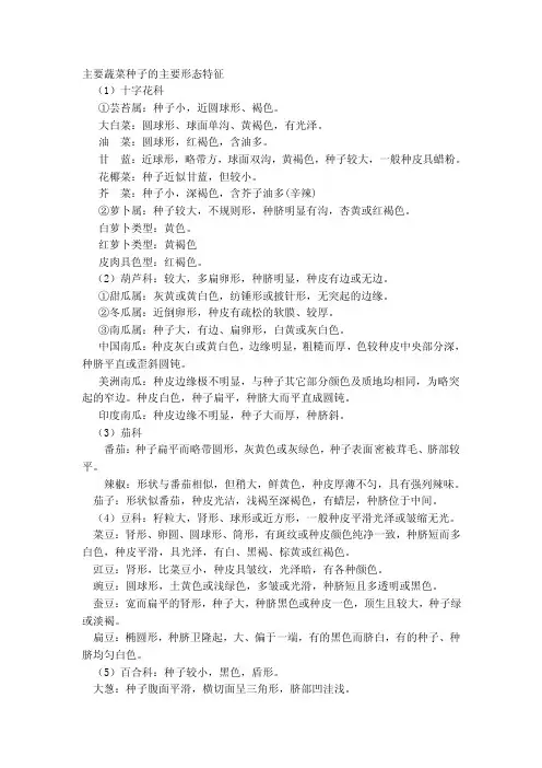 主要蔬菜种子的主要形态特征