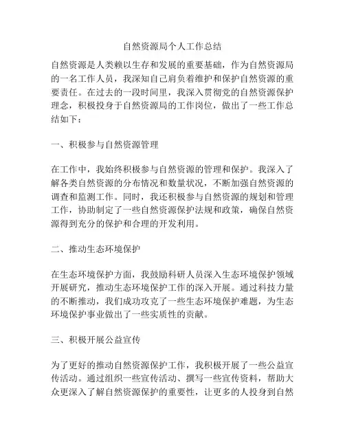 自然资源局个人工作总结