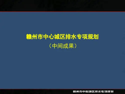 某地区排水专项规划汇报