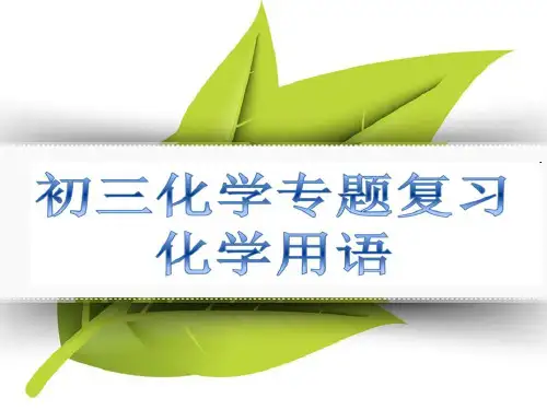 初三化学专题复习：化学用语课件 (共41张PPT)