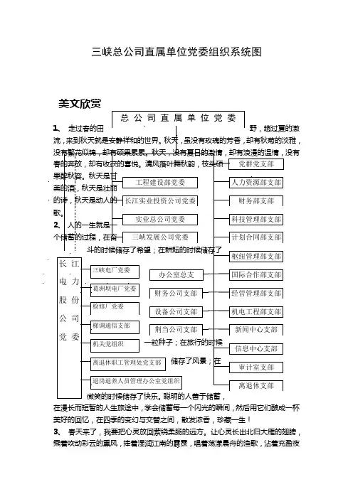 12-三峡总公司直属单位党委组织机构图.doc