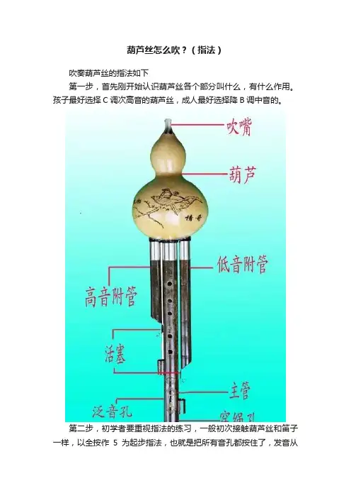 葫芦丝怎么吹？（指法）