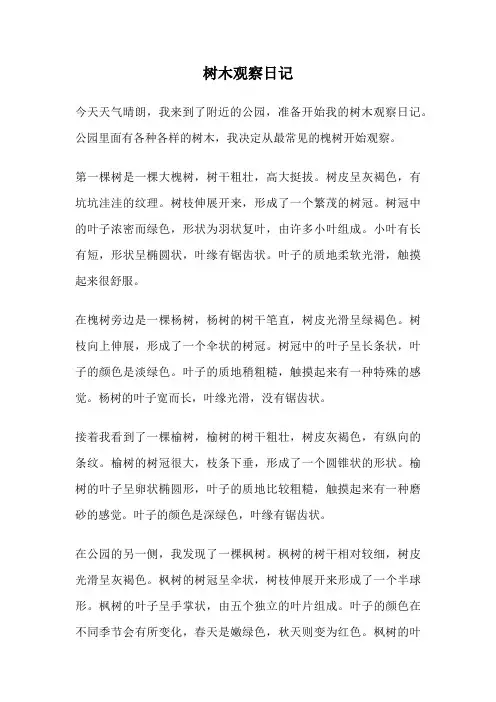 树木观察日记