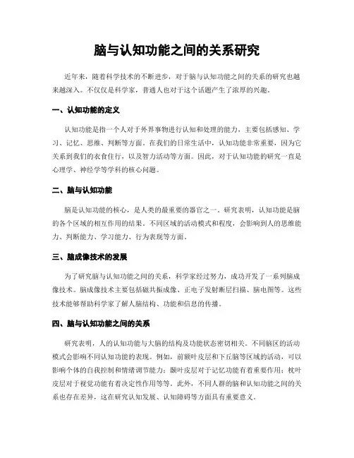 脑与认知功能之间的关系研究