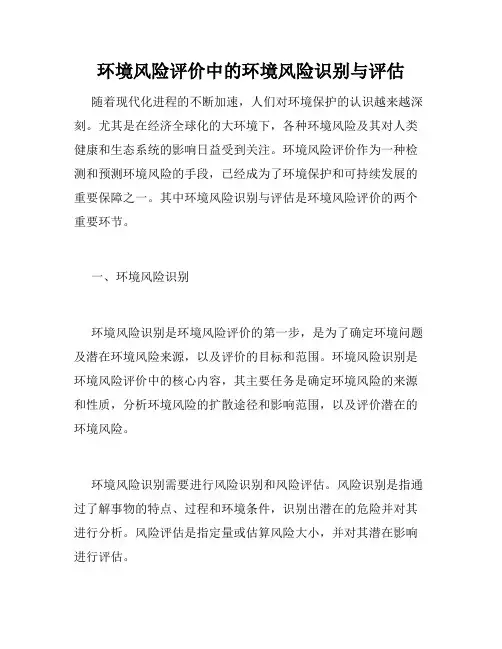 环境风险评价中的环境风险识别与评估