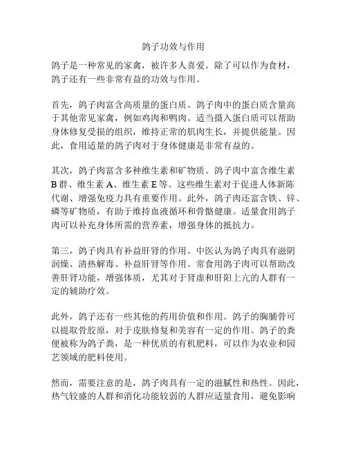 鸽子功效与作用