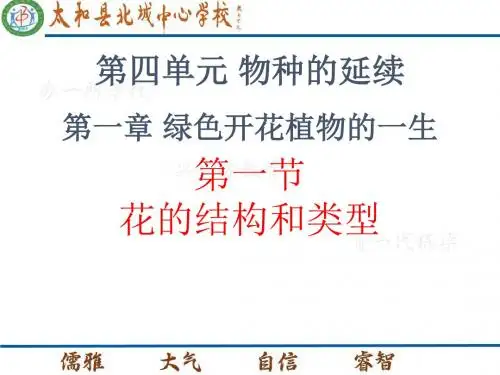 花的结构和类型 PPT课件9 济南版