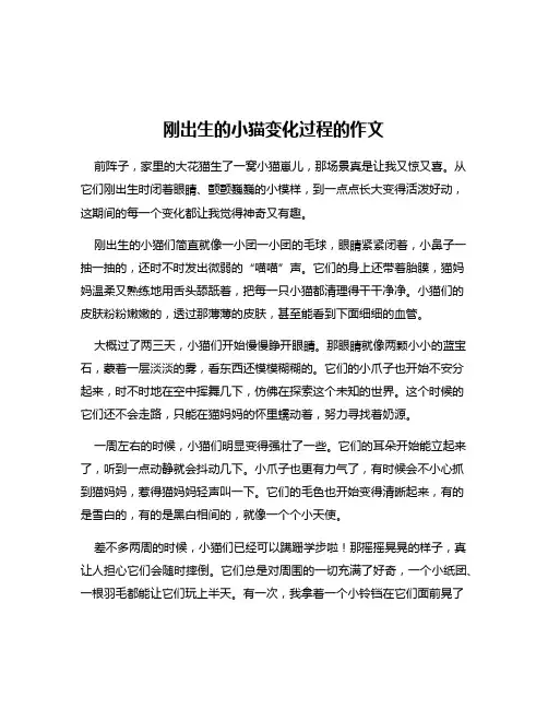 刚出生的小猫变化过程的作文