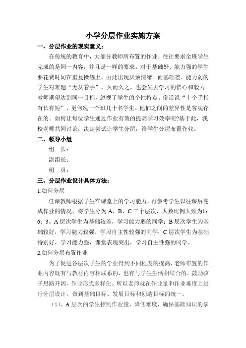 小学分层作业实施方案