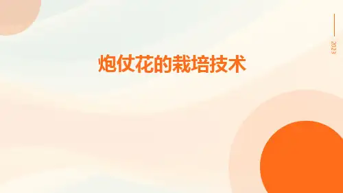 炮仗花的栽培技术
