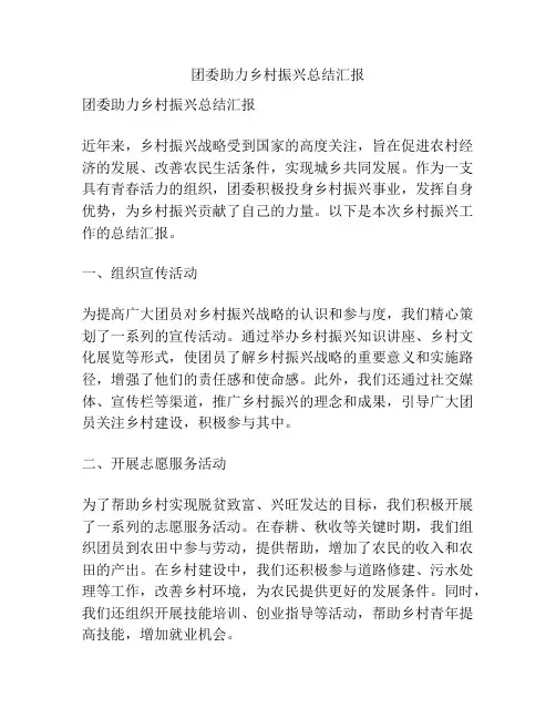 团委助力乡村振兴总结汇报