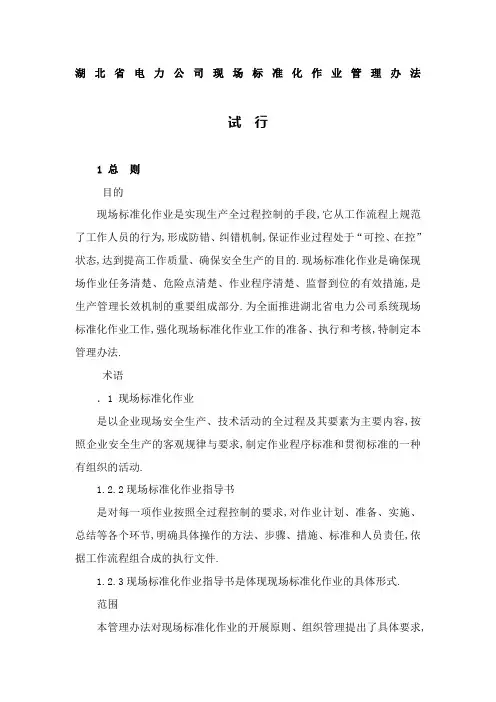 湖北省电力公司现场标准化作业管理规定